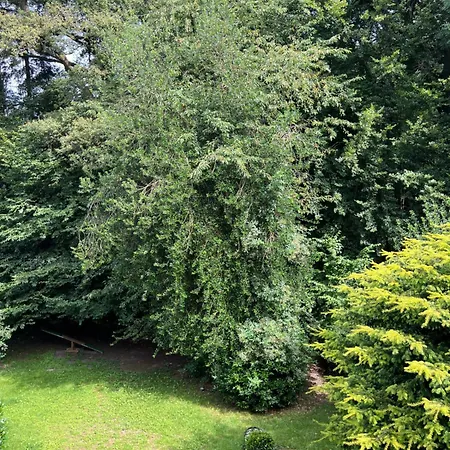 Private Monteurzimmer In Gemeinschaftswohnung Nahe Koeln * Kürten